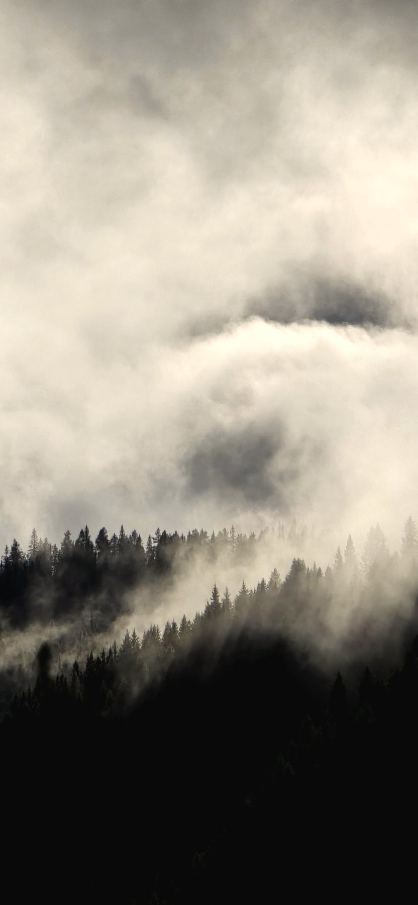 Skyene letter over åsen.